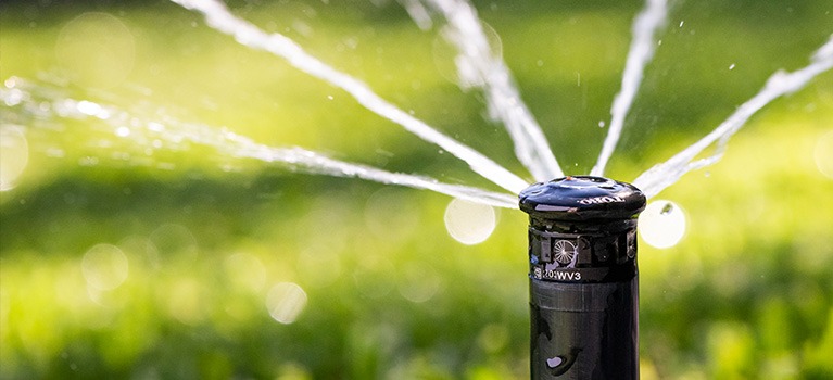 Sprinklers, Sprays & Drip